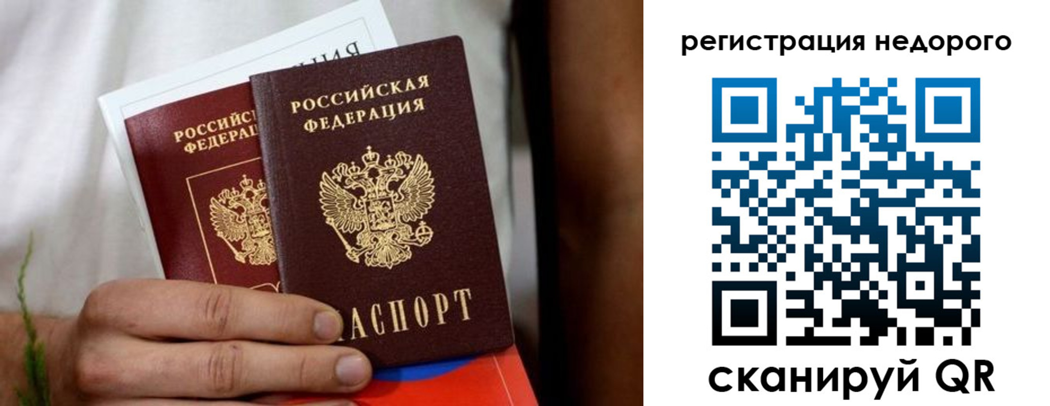 временная регистрация гарантия в Куртамыше